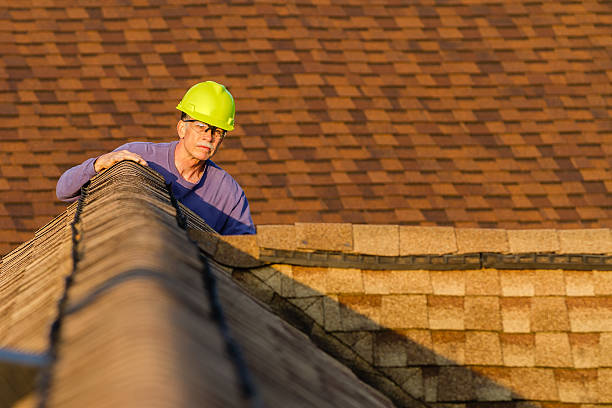 Roof Gutter Cleaning in Fort Thomas, KY